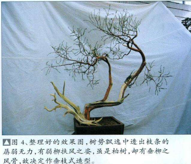 整理好的效果图