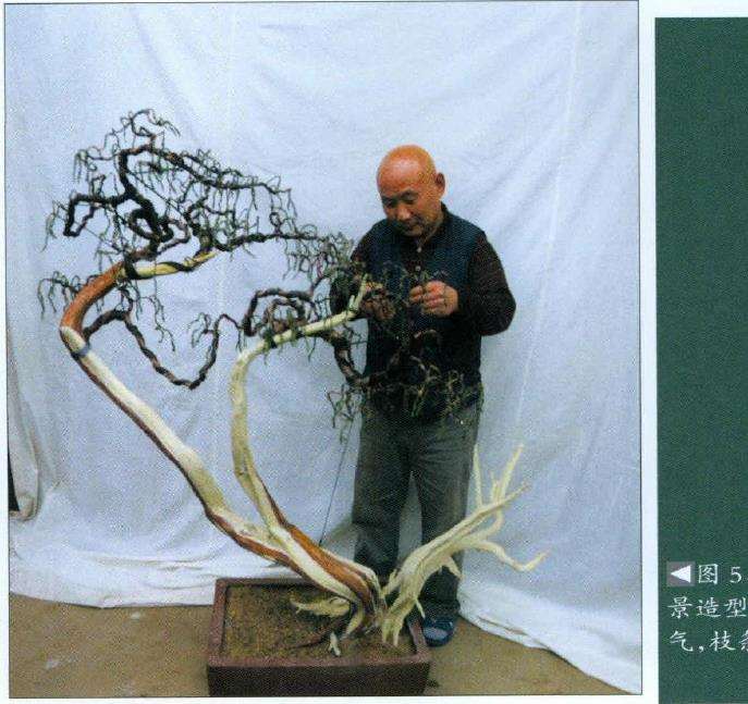 中国盆景艺术大师邢进科