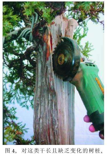 增加层次纹理是必须的选择