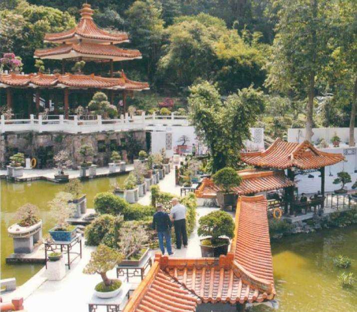 2021年 粤港澳大湾区深圳花展盆景大赛