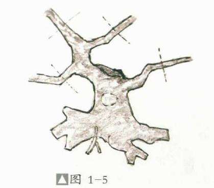 劣桩盆景怎么造型