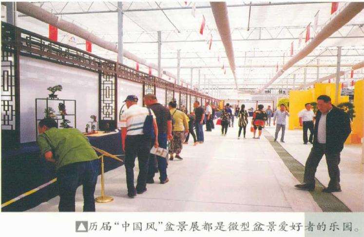 为什么未来的趋势是制作小型盆景