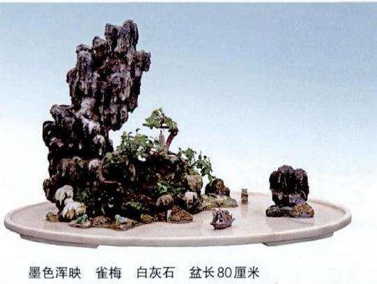 中国山水盆景艺术