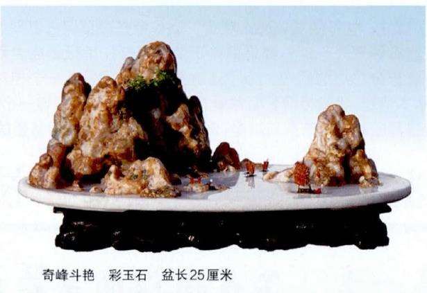 中国山水盆景艺术