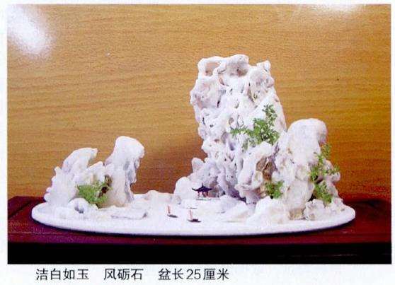 中国山水盆景艺术