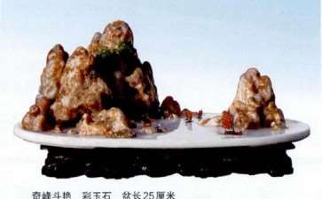 为陈习之编著的《中国山水盆景艺术》作序