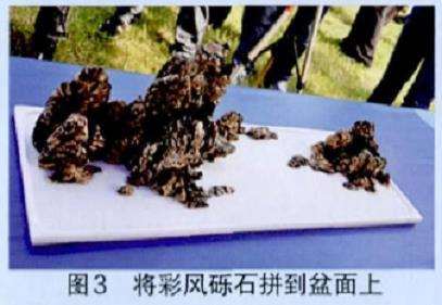 山水盆景现场的制作表演