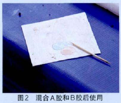 山水盆景现场的制作表演