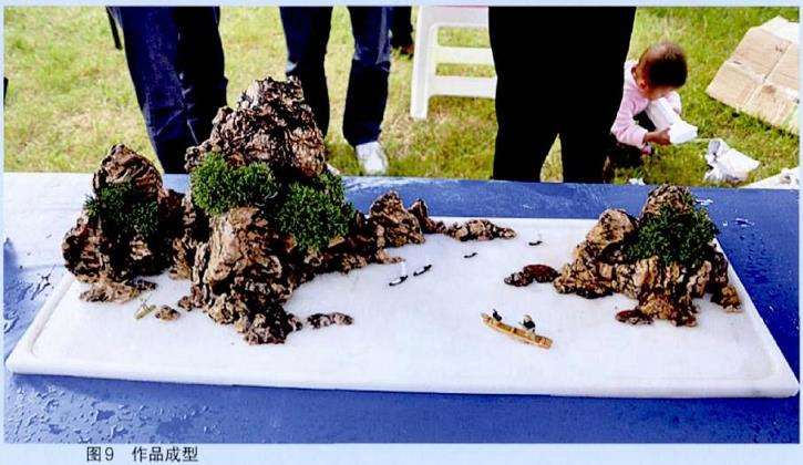 图解 乔红根山水盆景现场的制作表演