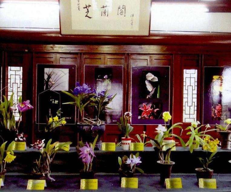 第九届福州兰花展在于山风景区举办