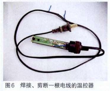月季怎么基质加温扦插