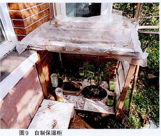 蟹爪兰怎么自制保湿柜的3个步骤