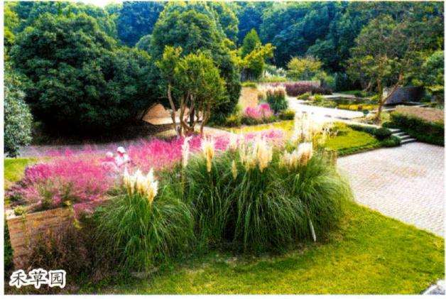 对南京中山植物园的图文介绍