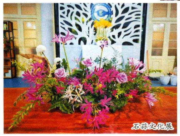 对南京中山植物园的图文介绍