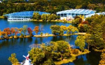 对南京中山植物园的图文介绍 图片