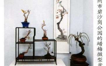 2021年郑州市园林局举办迎新春梅花展