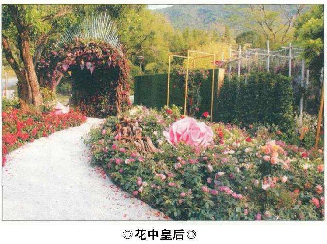 粵港澳大湾区深圳花展创意花园展