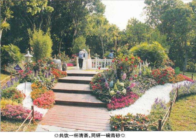 粵港澳大湾区深圳花展创意花园展