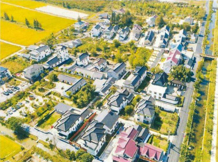 上海花博会里的花可以买了带走吗