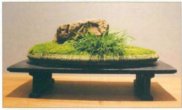 国人喜爱菖蒲 源于它的四种习性