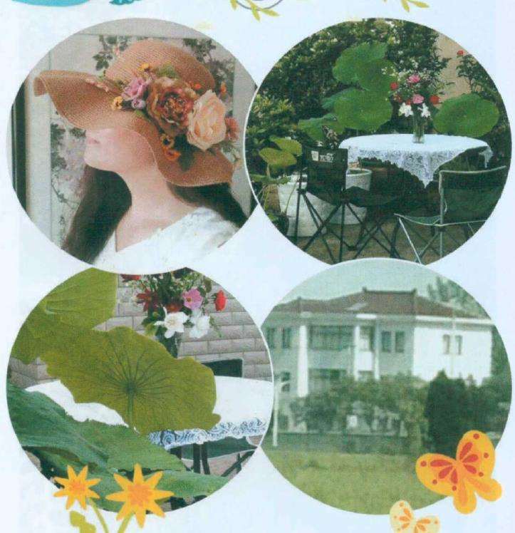 门前院后种花草果蔬 让村舍花开四季新