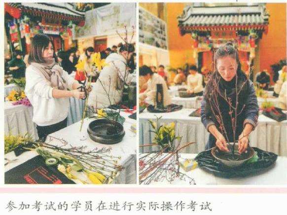 2019北京插花花艺初级讲师考核工作