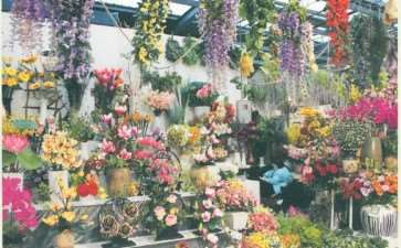 2019年 花卉园艺排行前五的名单