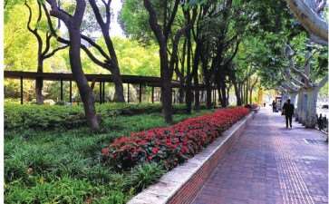 上海东湖花园绿地景观改造工程