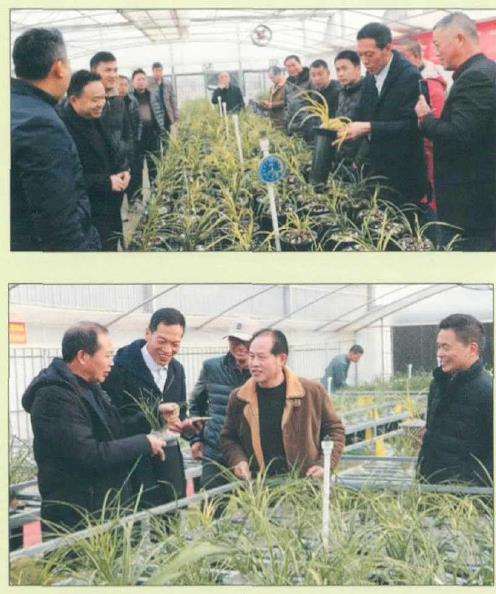 蕙兰联谊年会在随州成功举行