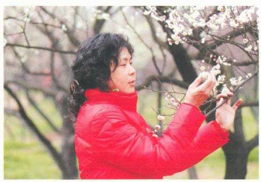 武汉怎么发展梅花产业的3个优势