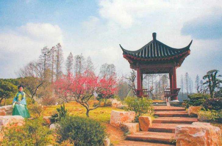中国梅花产业化存在的4个问题