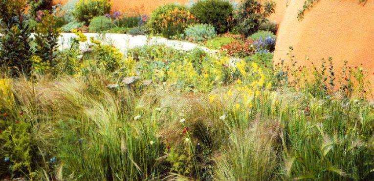 墨西哥羽毛草在景观中的十种用法