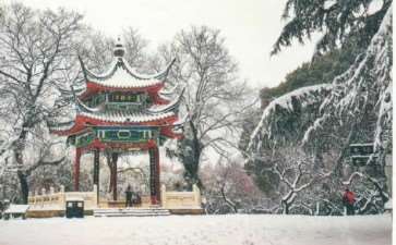 武汉东湖梅园有梅花品种340多个