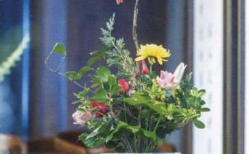 2019年湖北省第五届插花花艺大赛