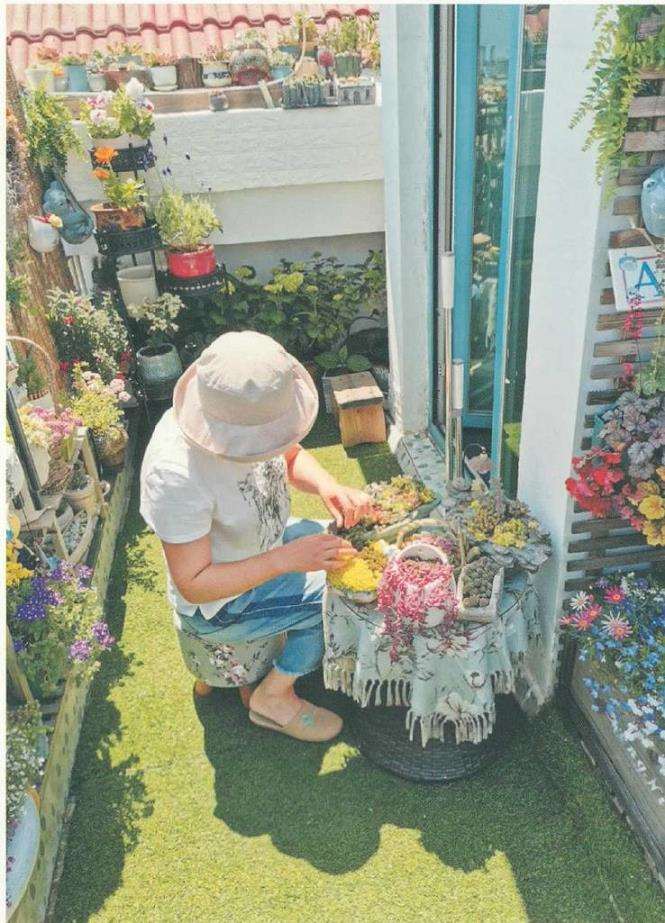 喜欢与花花草草打交道 是我从小的爱好