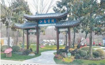 第十七届中国梅花蜡梅展览会掠影 图片