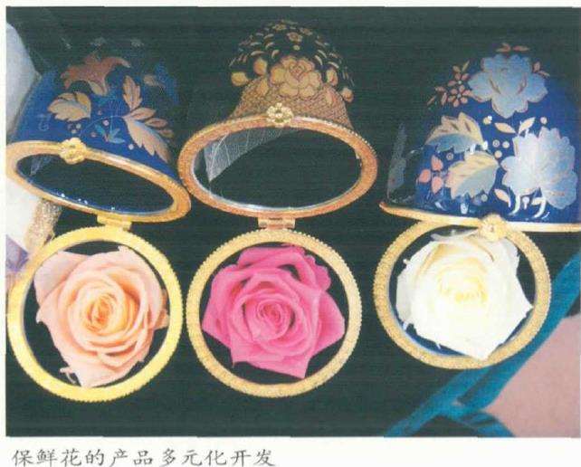 2020 疫情下全球花卉发展的4个新举措