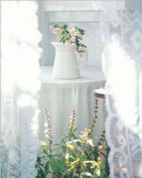 在洒满阳光的阳台上做一个花园梦