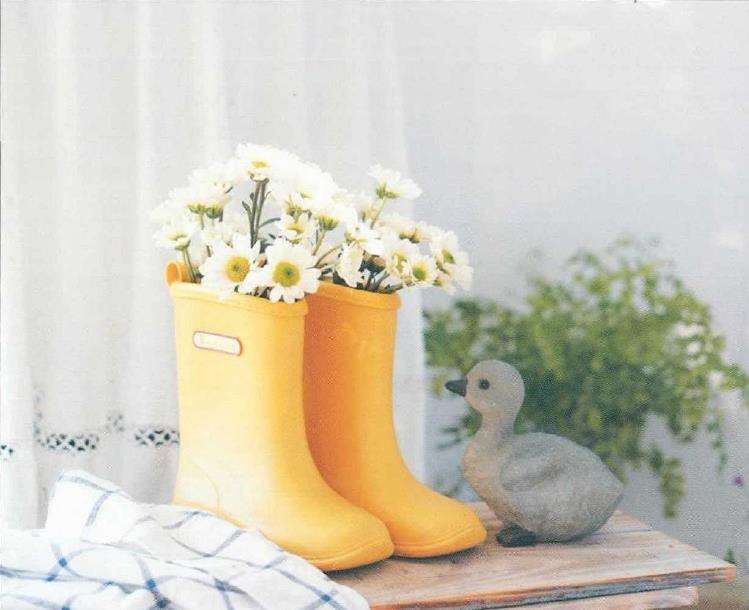 在洒满阳光的阳台上做一个花园梦