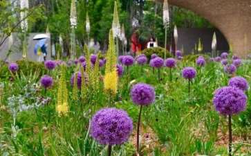 郑州花境师职业技能高级研修班即将开课