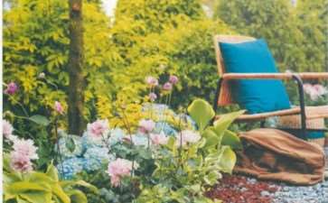 2020 花园大会花园景观选登 图片