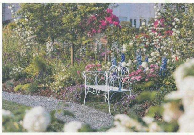 2020 花园大会花园景观选登 图片