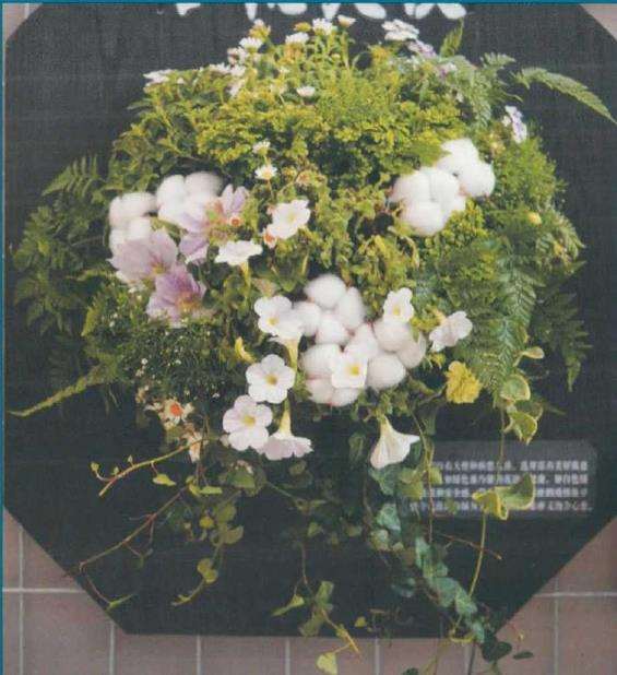 美丽别致的花挂艺术