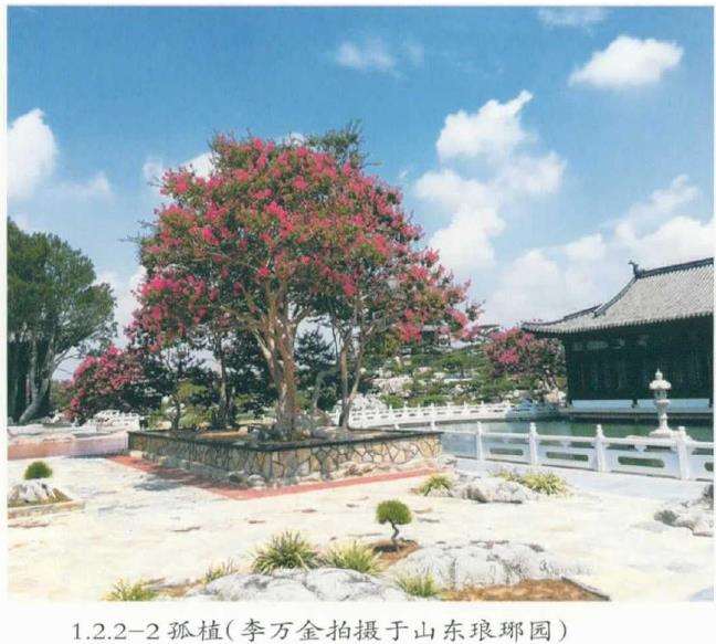 园林景观怎么营造的便携手册