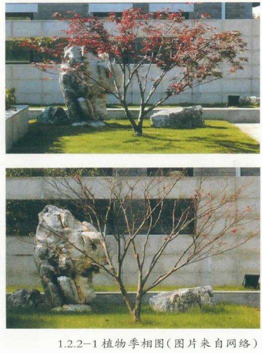 园林景观怎么营造的便携手册