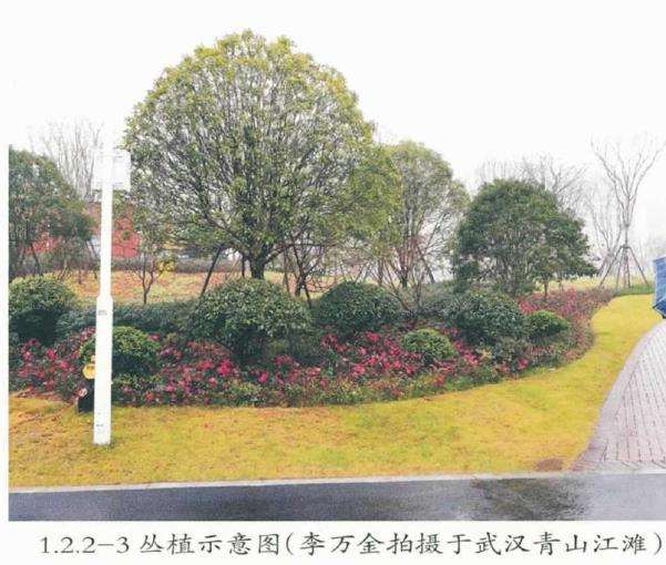 园林景观怎么营造的便携手册