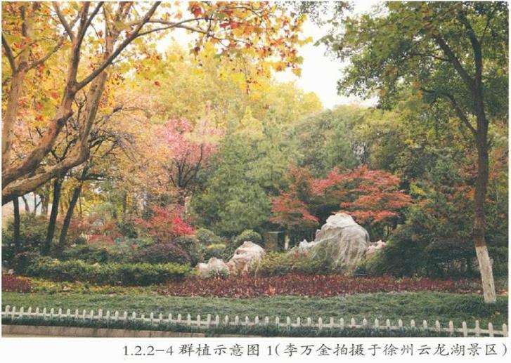 园林景观怎么营造的便携手册