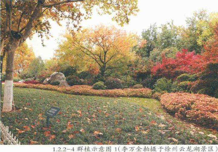 园林景观怎么营造的便携手册