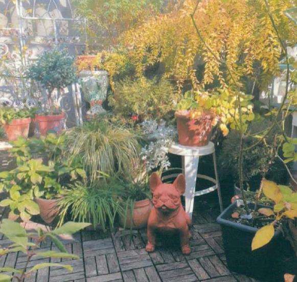 江南姑娘打理的私家花园会是怎样的呢