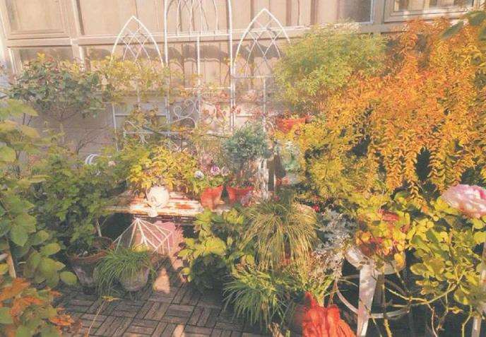 江南姑娘打理的私家花园会是怎样的呢